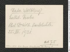 Seite 2, Eingelegtes Foto, Beilage 1 zu Tagebuch "Unter-Wölbling | hallzt. Wohngrube | März 1931" (NHMW-PRAE-BBB-75-Beilage-1)